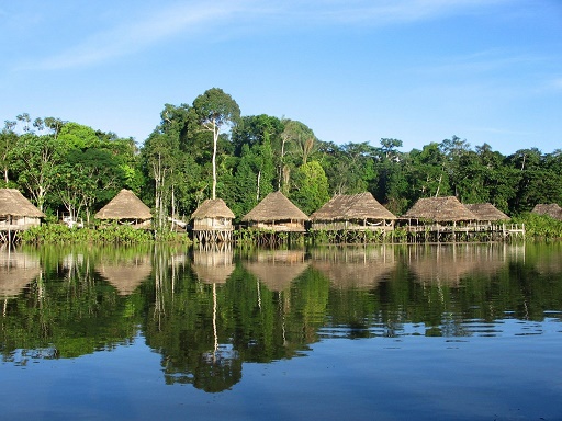 amazon rainforest tours