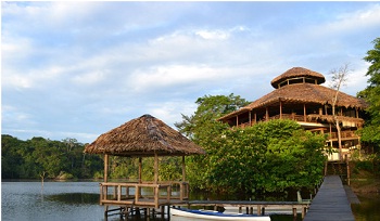 amazon rainforest ecuador