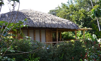 tours amazon ecuador