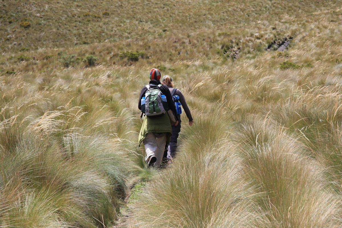day trips treking and hiking adventures ecuador
