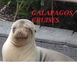 galapagos tours and travel