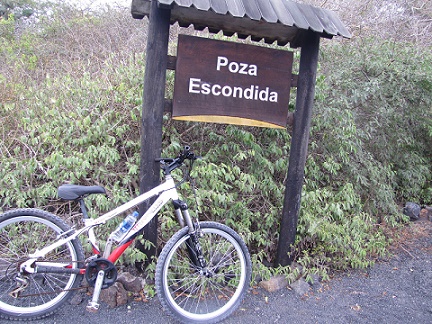 poza escondida isabela island cruises