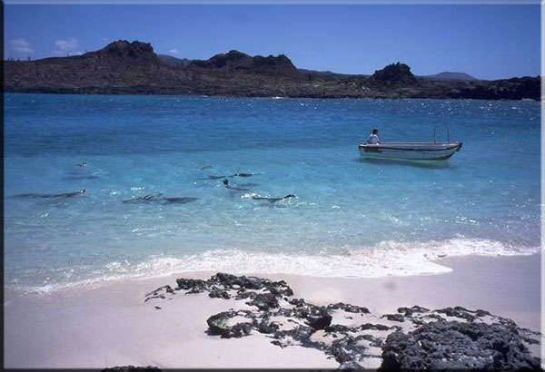 Galapagos